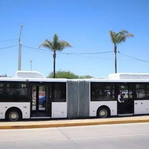 Carril para orugas