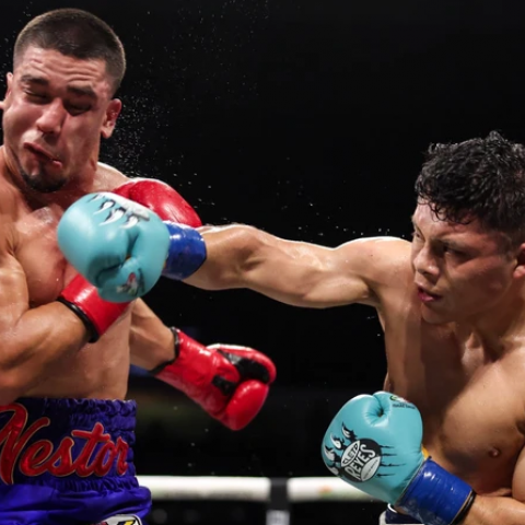 Pitbull Cruz 