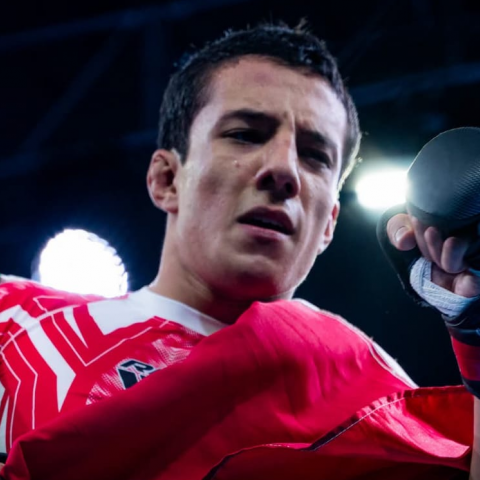  Artes Marciales Mixtas