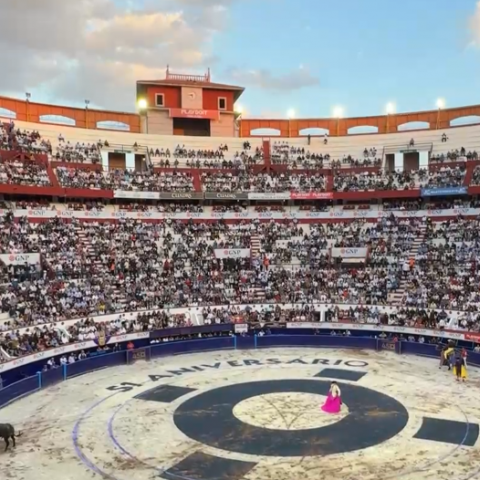 Corridas de Toros