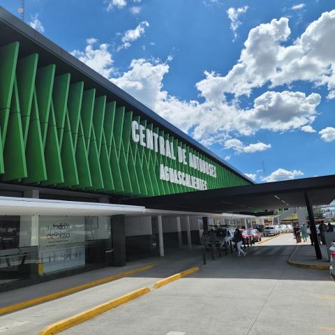 Frustran hasta 3 posibles casos de trata de personas por mes en Central de Autobuses de Aguascalientes