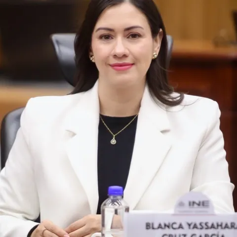 INE elige a Blanca Luz como presidenta provisional, tras renuncia de Taddei