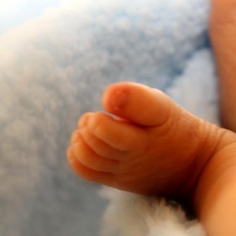 Bebé 