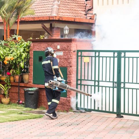 Dengue en Aguascalientes