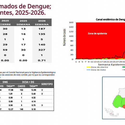 Aguascalientes, el cuarto estado con mayor incidencia de dengue; suman más de 300 casos en 2026