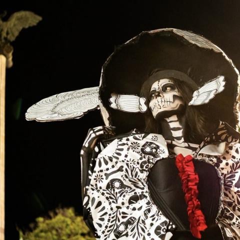 Estas son las actividades que ofrece el Festival Cultural de Calaveras 2026