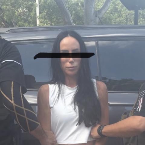 Detienen a Inés Gómez Mont en Florida tras cinco años prófuga de la justicia mexicana