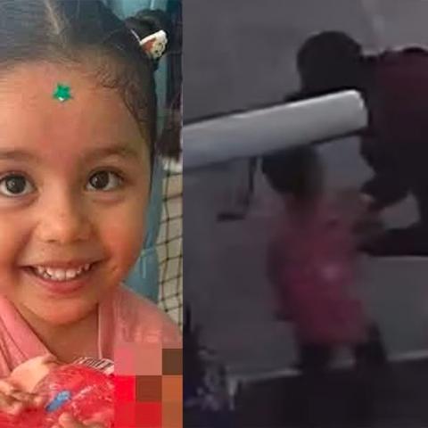 La mamá sospecha que el padre biológico podría estar detrás de la sustracción de la menor tras un pleito por la custodia