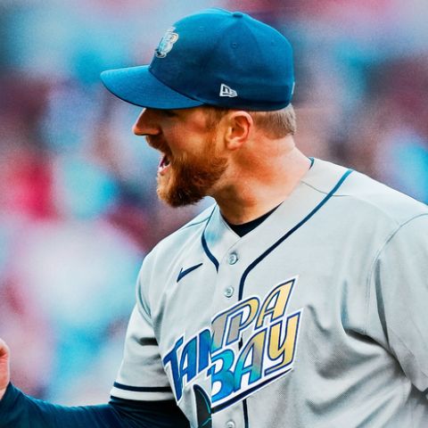 Tampa Bay Rays