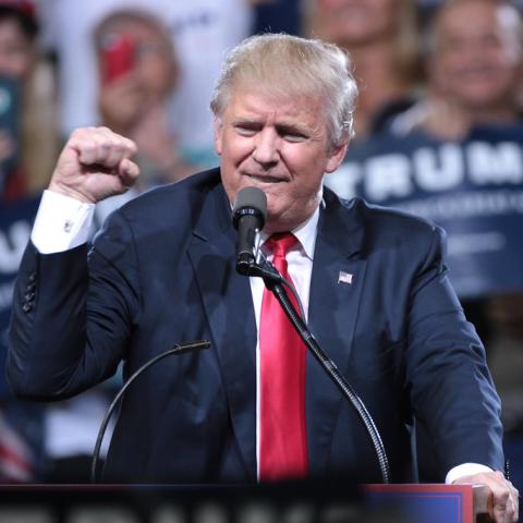 Donald Trump 