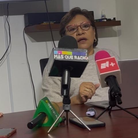 María del Carmen Corchado, Pdta. del Colegio de Economistas en Aguascalientes 