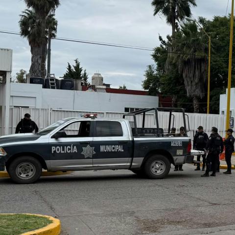 Violencia 