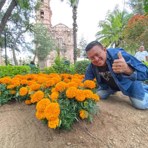 Municipio de Aguascalientes coloca miles de flores de cempasúchil en conmemoración al día de muertos
