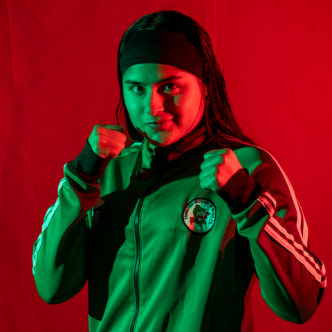 Panamericano Continental Élite de Boxeo