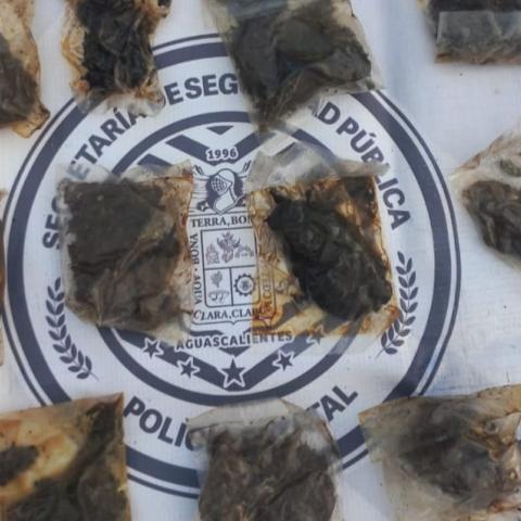 Sucedió en el camino de piedra en Pabellón de Hidalgo en Rincón de Romos