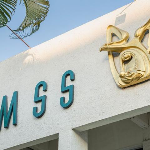Inicia auditoría independiente sobre recién nacidos en hospital del IMSS, confirma Zoé Robledo