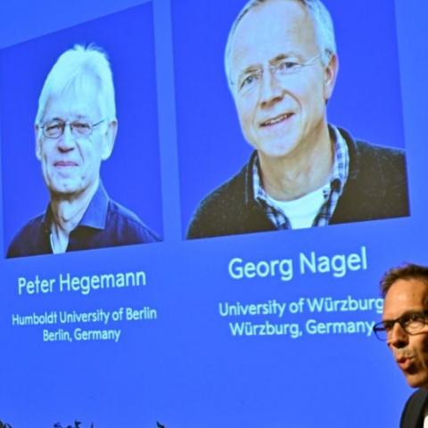 Otorgan el Nobel de la Medicina a científicos por sus avances en la neurociencia y el estudio del cerebro