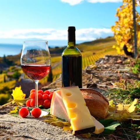 Ruta del vino