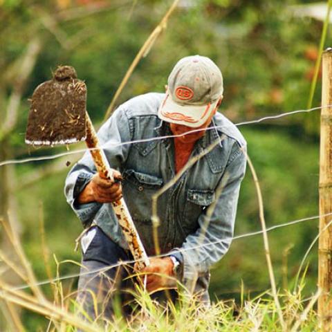 CONFLICTOS AGRARIOS