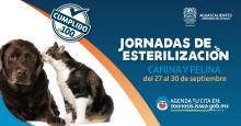 Jornadas de esterilización