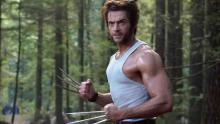 wolverine