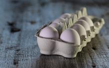Gripe aviar podría incrementar costo del huevo en un 20%