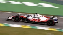 Magnussen Brasil