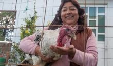 Esta Navidad la Secretaría de Agricultura invita a optar por el guajolote mexicano