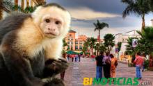 Viruela del mono ya suma 12 casos en Aguascalientes. Se registra primer contagio en mujeres