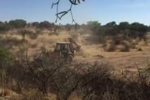 Instalarán Torre de Vigilancia en Bosque de Cobos