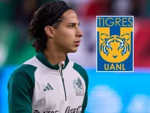 Tigres vs Lainez