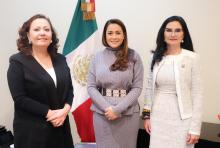 Blanquita Rivera Río regresa a la política de Aguascalientes 