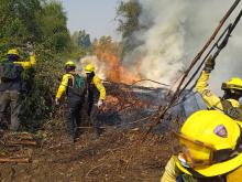 Los incendios de Chile ya en “fase de contención”