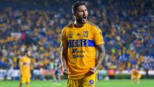 Tigres lesión