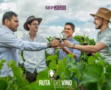 Ruta del vino