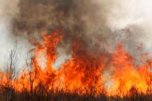 Incendios forestales 