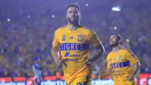 GIGNAC TIGRES