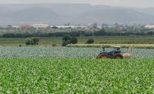 Asientos, Jesús María y Calvillo: los municipios del interior que más extraen agua del subsuelo