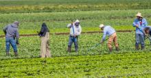 Migrantes mexicanos recibirán de EE. UU. sus adeudos de salarios y horas extras