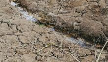 Estrés hídrico es más preocupante que la concesión del agua, apuntan expertos