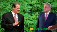 "Vender marihuana no es como poner una fonda", opina AMLO sobre negocios de Fox