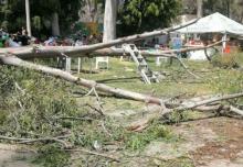 Se desploma árbol en balneario de Comanjilla, Guanajuato; muere un bebé y hay varios lesionados