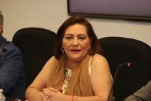 Guadalupe Taddei insta a la estructura del INE a estar abierta a nuevos proyectos