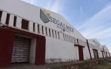 Segalmex fraude 