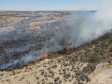 Más de 30 incendios se han registrado en Bosque de Cobos