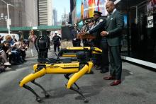 Nueva York incorpora a perros–robots–policías para labores de seguridad