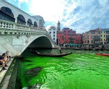 El Gran Canal de Venecia se tiñe de verde fosforescente