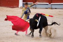 Corridas de toros 