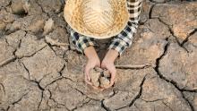 Crisis en el campo: comienzan a racionar el agua y a vender ganado