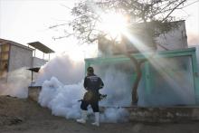 Mosquito del dengue causa cientos de muertes en Perú